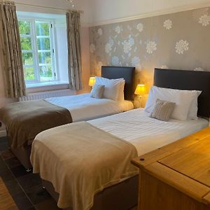 Superior Double or Twin Room Mountain View
